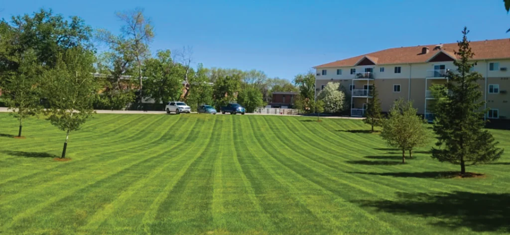 Commercial Lawn Care and Mowing